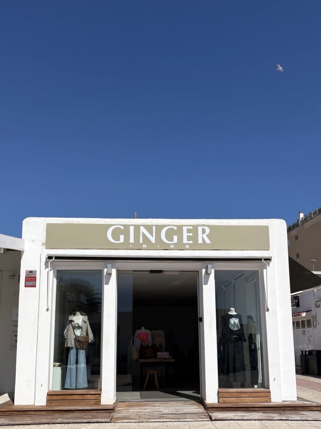 Ginger Ibiza
